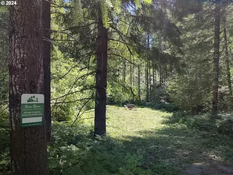 lahar ln, Cougar, WA 98616