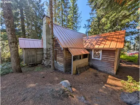 88887 E Government Camp Loop, Government Camp, OR 97028