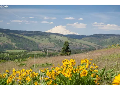 1968 Dry Creek Rd, Mosier, OR 97040