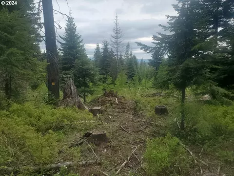 Coyote Ridge Rd, Weston, OR 97886