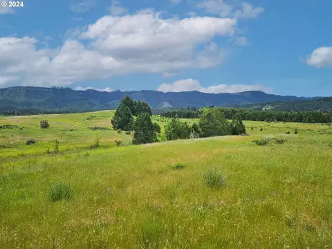 0 Denn Rd, Camas Valley, OR 97416