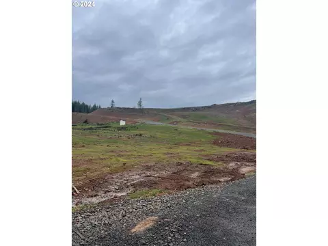 0 Olequa Heights Lot H Rd, Castle Rock, WA 98611