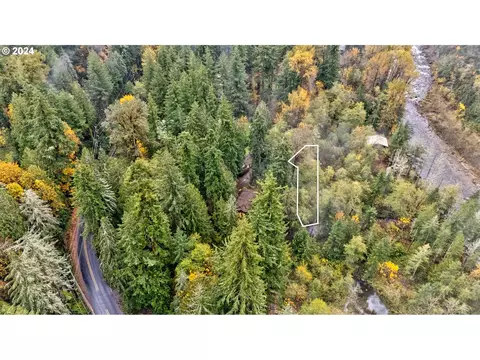 0 E Donny Dell Ln, Rhododendron, OR 97049