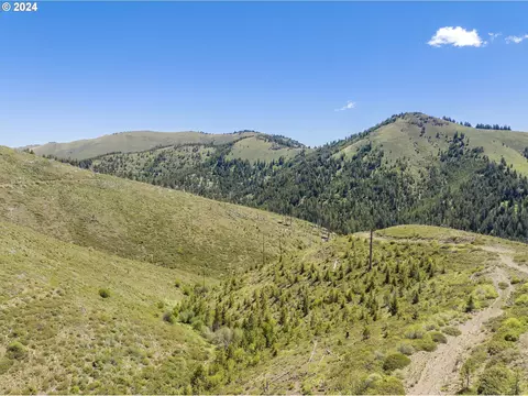 0 Nfs 1680 Rd, Unity, OR 97884 photo 16