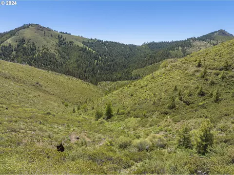 0 Nfs 1680 Rd, Unity, OR 97884 photo 12