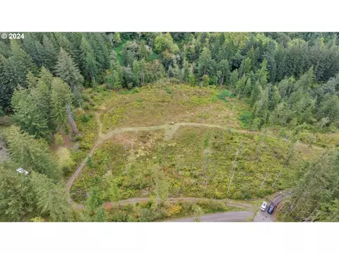 0 NE 335th Ave, Washougal, WA 98671