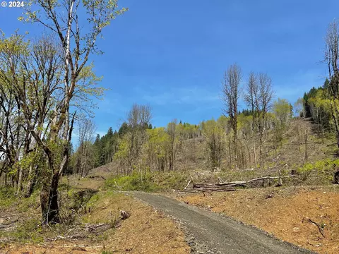 14408 NW Lyda Dr, Gales Creek, OR 97117