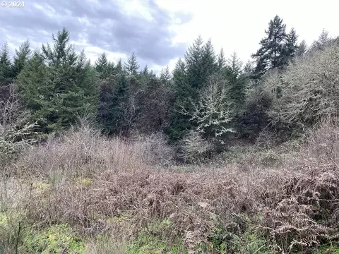 0 Terri Ct, Oakland, OR 97462