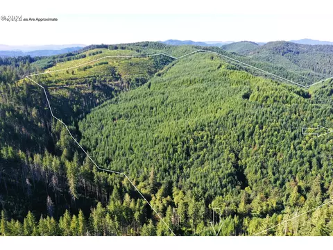 high pass rd, Junction City, OR 97448
