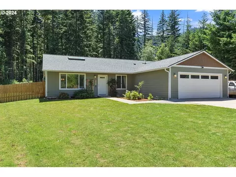 131 Russells Timber Ln, Carson, WA 98610