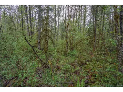 ne 82nd ave, Battle Ground, WA 98604