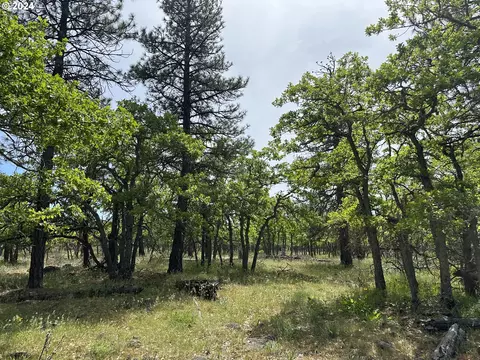 0 D Pne, Goldendale, WA 98620