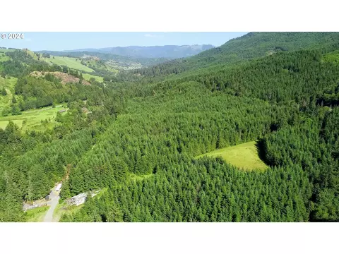 Old Coos Bay Rd, Powers, OR 97466