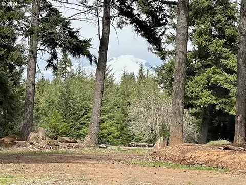 73 Sleepy Hollow Rd, White Salmon, WA 98672