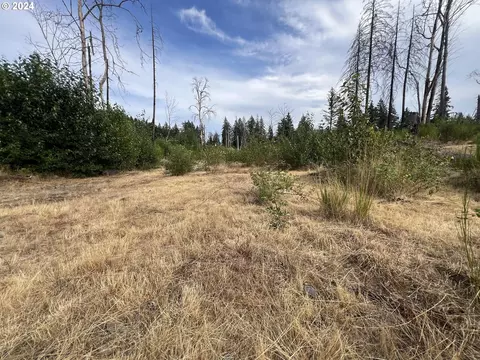 00 Fishermen Bend Lots, Lyons, OR 97358