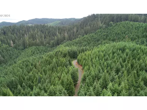 0 Buck Creek Rd, Drain, OR 97435