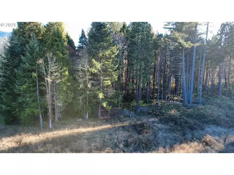 188 Pisqually Ln, Azalea, OR 97410 photo 3