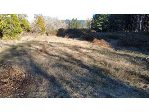 188 Pisqually Ln, Azalea, OR 97410 photo 11