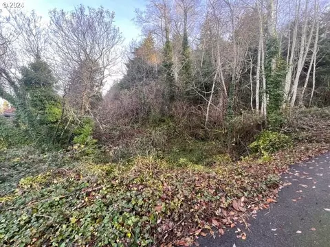 0 Elm Ave, Reedsport, OR 97467