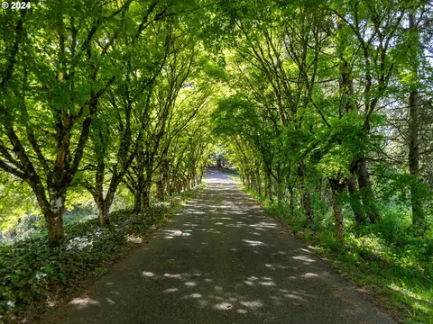 1426 NW Ostenson Canyon Rd, Camas, WA 98607