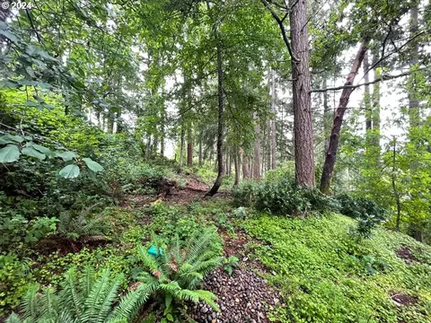 Videra Dr, Eugene, OR 97405