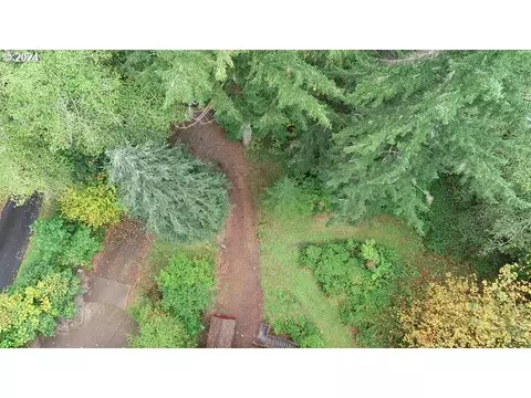 71868 Northshore Dr, Birkenfeld, OR 97016