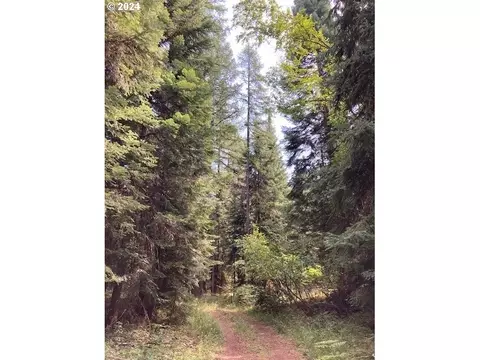 138028 Black Pine Ln, Weston, OR 97886
