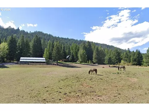 71124 Valley View Dr Rd, Elgin, OR 97827