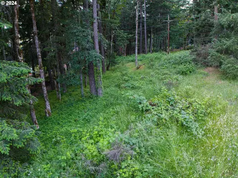 Nw Jewett Lane, White Salmon, WA 98672