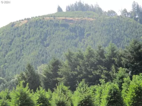 000 Thomas Creek Dr, Scio, OR 97374