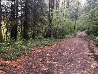 70985 E Jennie Ln, Rhododendron, OR 97049