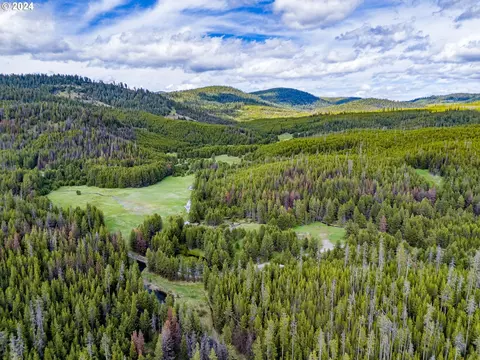 Forest Serv Rd 5225, Sumpter, OR 97877