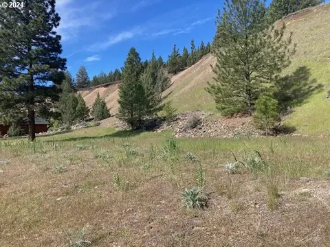 Elkview, Canyon City, OR 97820