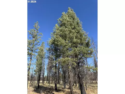 bull pine rd, Beatty, OR 97621