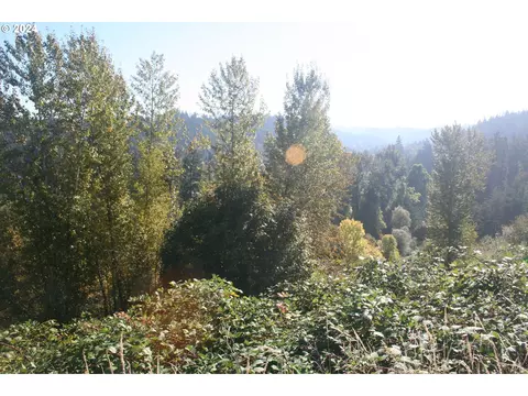 555 Anderson Dr, Silverton, OR 97381