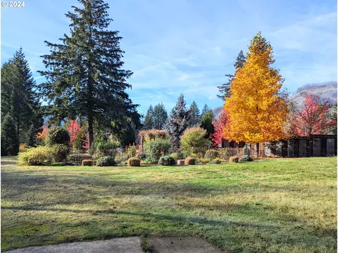 5145151455 Blue River Dr, Vida, OR 97488