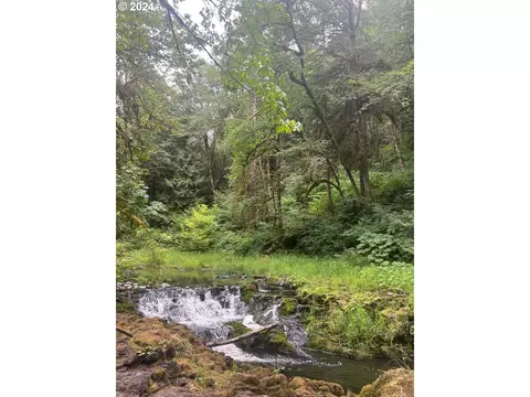 Beaver Falls Rd, Clatskanie, OR 97016
