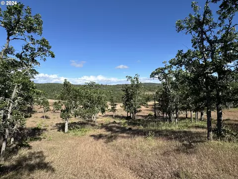 piney woods, Goldendale, WA 98620