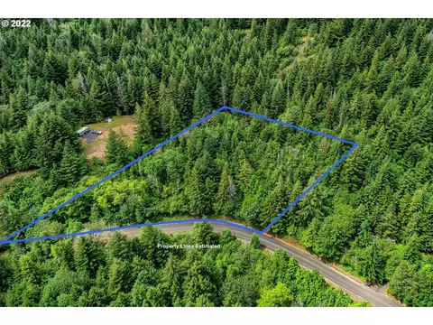 Archer Mountain Rd, Skamania, WA 98648