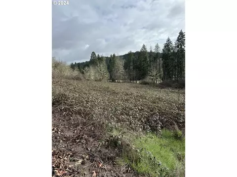 Curtin Park Rd, Cottage Grove, OR 97424