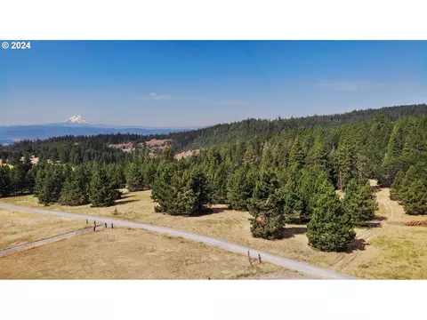 Mt View Rd, Lyle, WA 98635