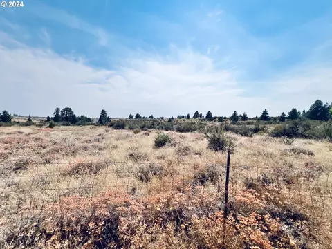 123 Dot Rd, Bickleton, WA 99322 photo 20