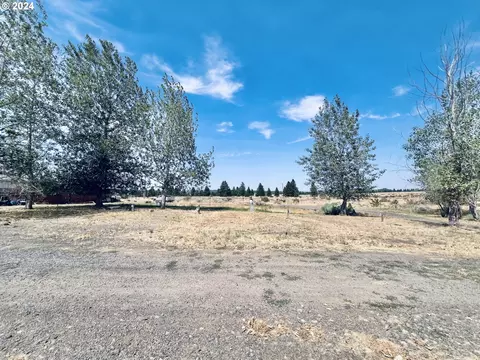 123 Dot Rd, Bickleton, WA 99322 photo 23