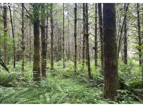 Vl Hillcrest Loop, Astoria, OR 97103