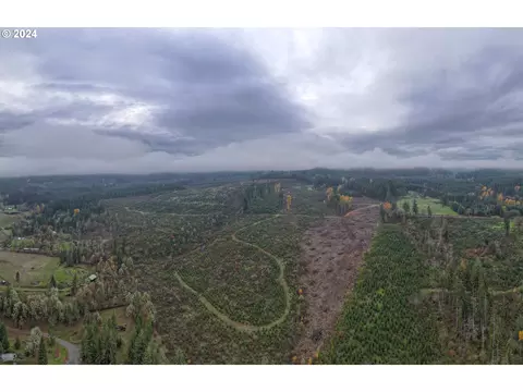 Mountain Home Dr, Lebanon, OR 97355