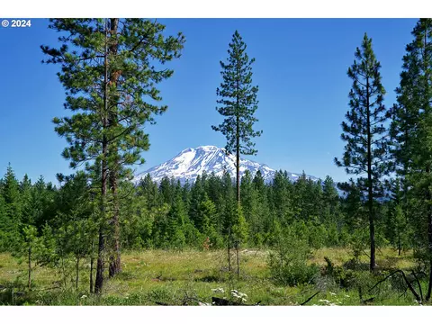 byrkett rd, Trout Lake, WA 98650