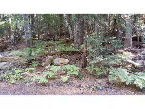 37066 E Gomes Ln, Government Camp, OR 97028