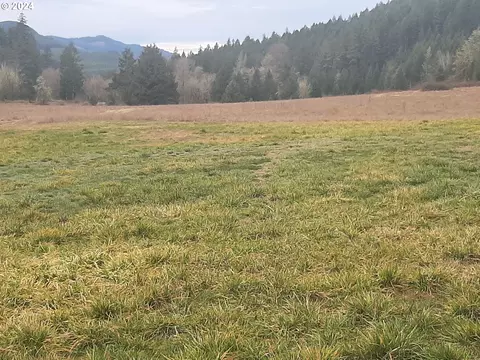 39933 Layng Creek Rd, Dorena, OR 97434