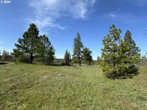 Chisholm, Goldendale, WA 98620
