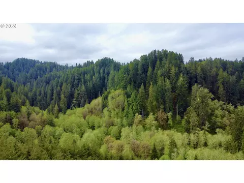 18-10 00-00-01300500, Mapleton, OR 97453